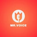 Mr. Voice Bot