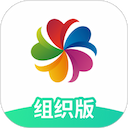 志愿汇组织版