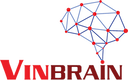 VinBrain - 通过以AI为中心的解决方案开创平等医疗保健
