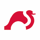 strongswan