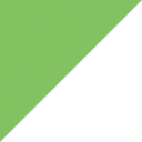 Digi International